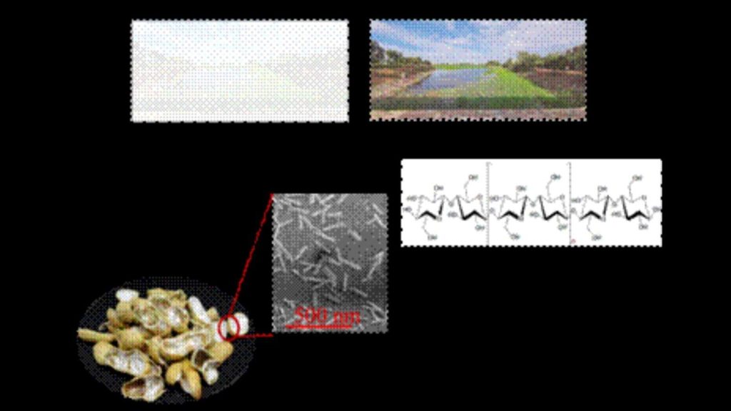 smart screen from groundnut shells