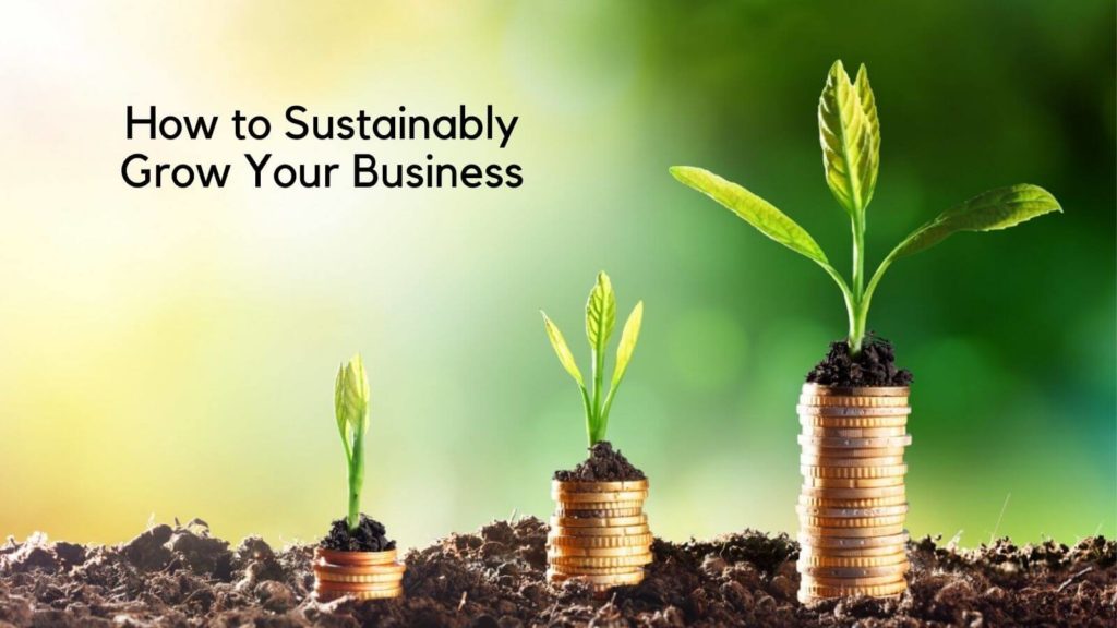 Learn How to Grow Your Organic Business In India