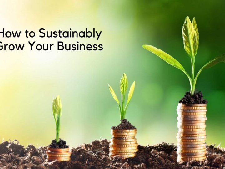 How to Grow Your Organic Business In India: Learn from Leaders