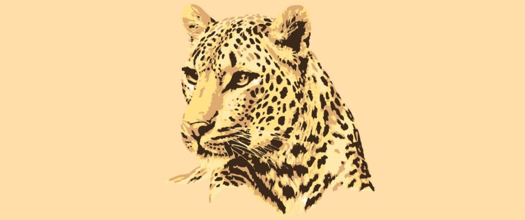 Status of Leopards in India 2018