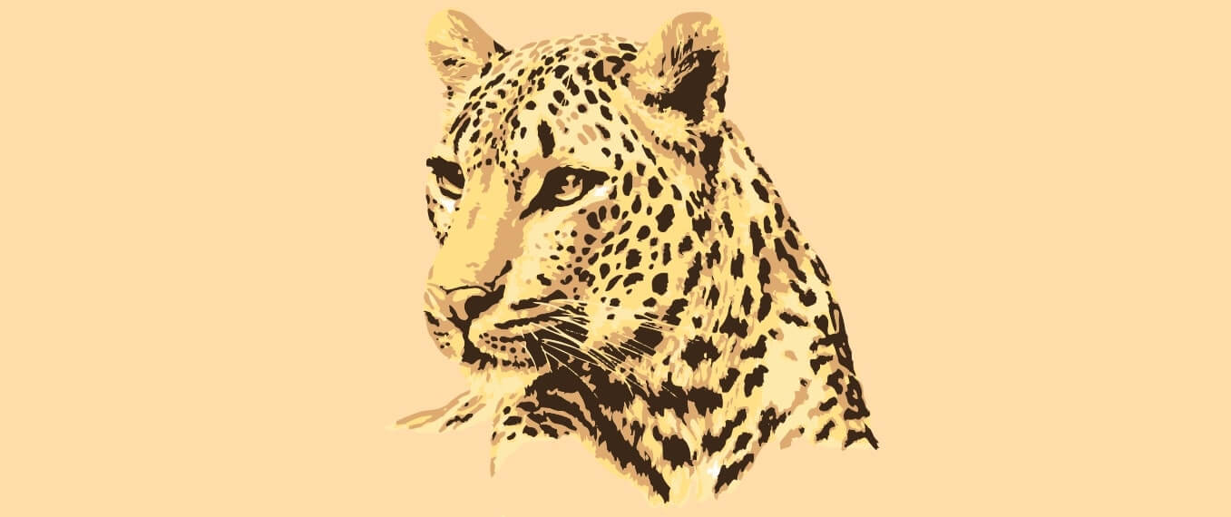 60% Rise in Numbers of Leopards in India | Status Report 2018