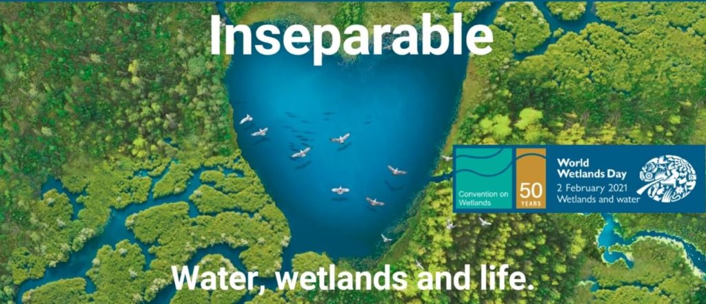 World Wetlands Day 2021 Theme Significance