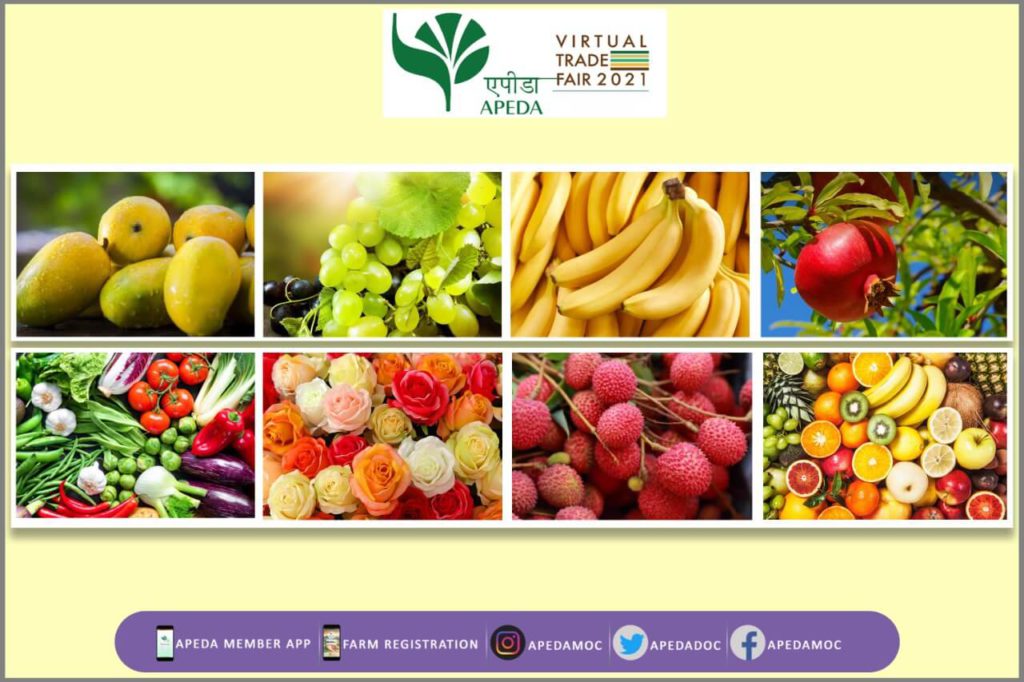 Virtual Trade Fair for horticultural produce by APEDA