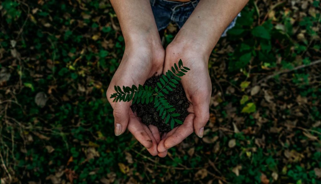 Common Myths of Green Living