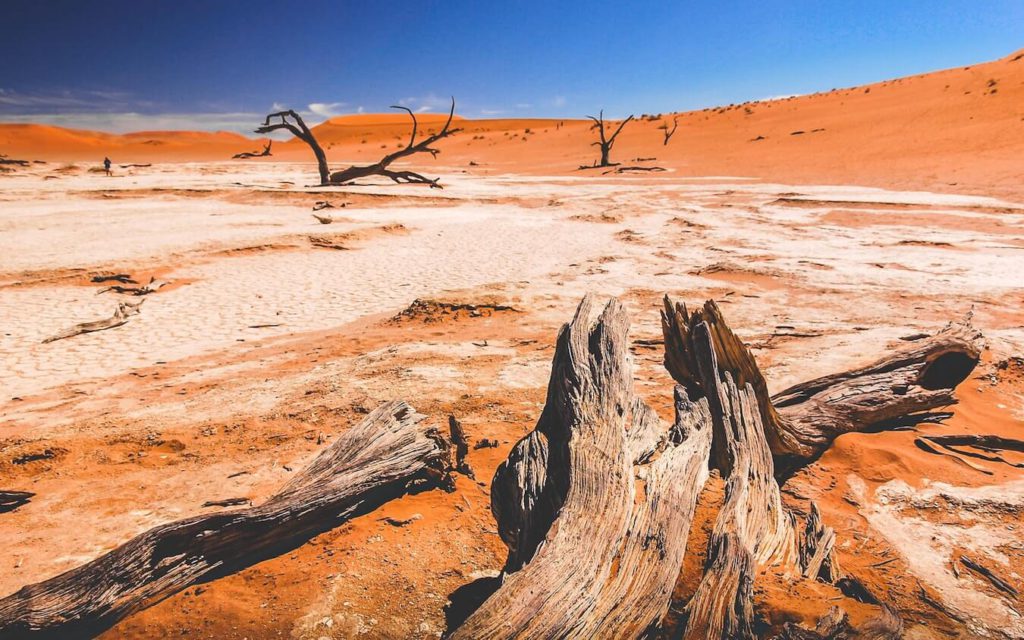 Desertification and Land Degradation Atlas of India