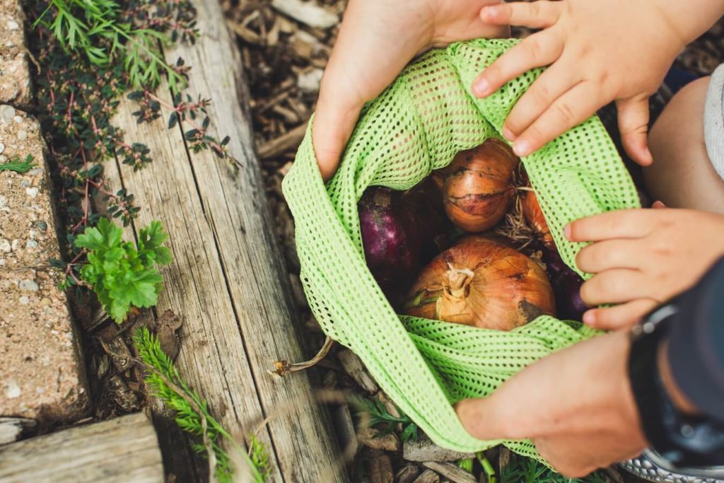 Featured Image Reusable Vegetable Storage Bags