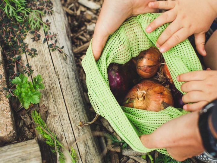 Best Eco Friendly Reusable Vegetable Storage Fridge Bags You Can Buy Online