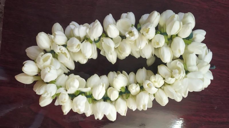 Madurai Malli - Jasmine Flowers