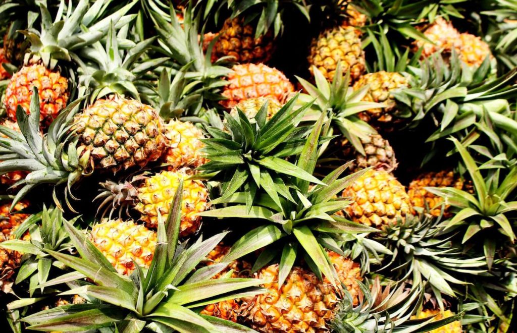 Pineapple Agroforestry