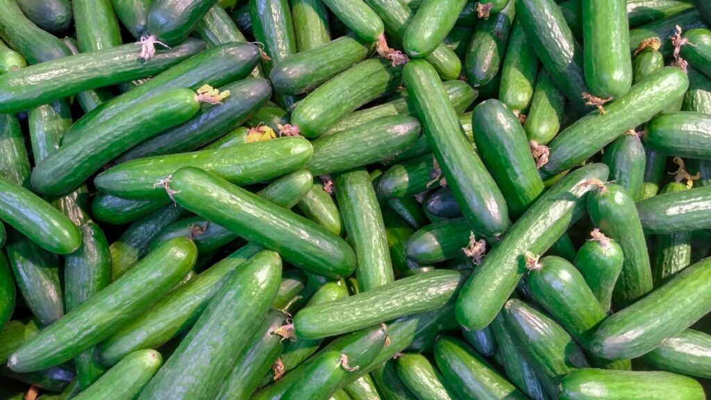 Cucumber and Gherkins