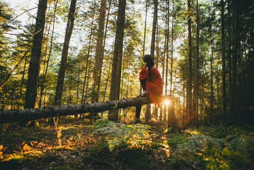 Ecotravel | eco friendly traveller