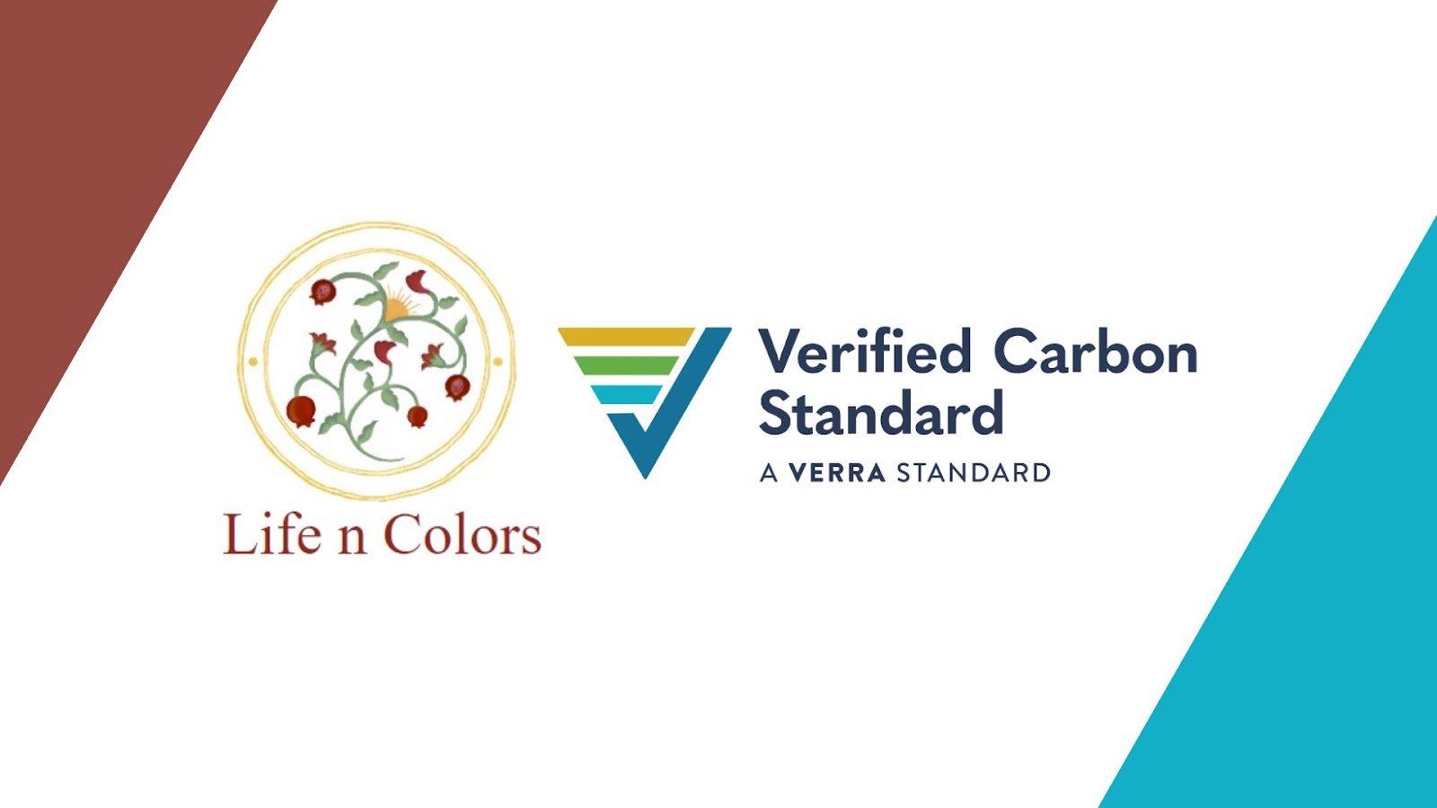 Life n Colors: Setting New Industry Standards with Carbon-Neutral Home Decor
