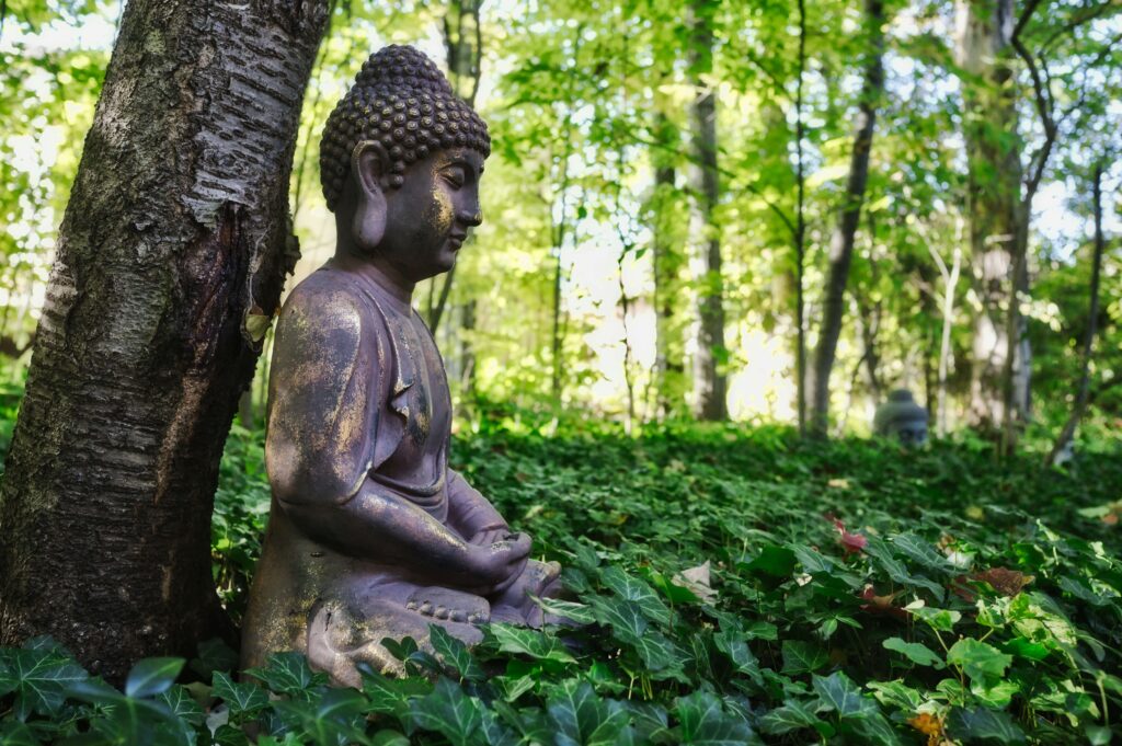 Integrating Sustainability with Buddha’s Teachings
