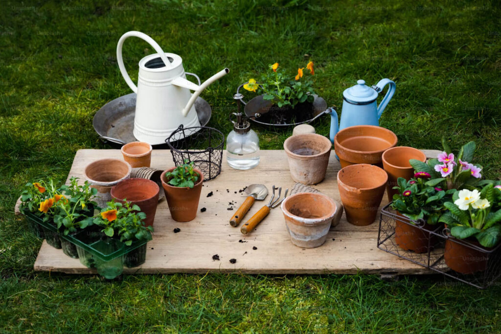 Terrace Gardening