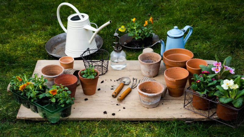 Terrace Gardening