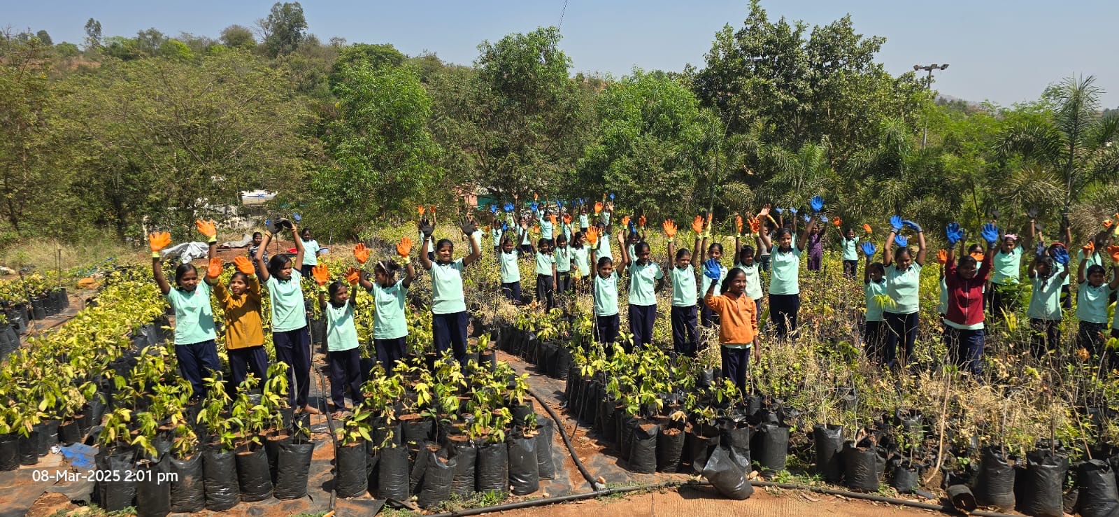 8 Naturals seed bank and native plant conservation