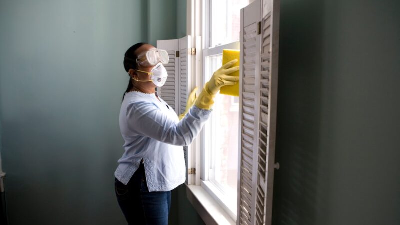 Vani Murthy — Worm Rani, Bengaluru’s Queen of Composting