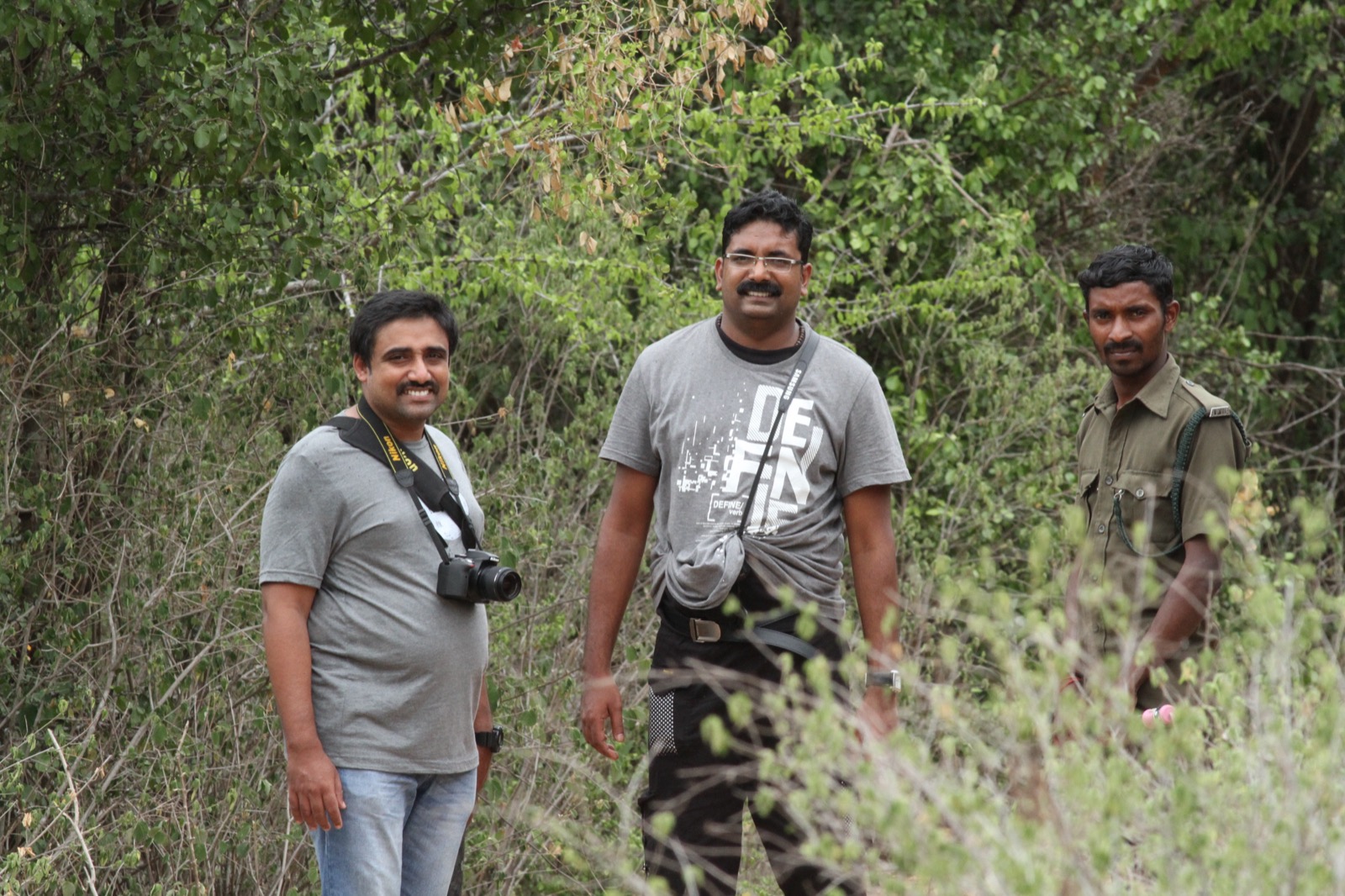 Forest landscape at Chinnar Wildlife Sanctuary, India
