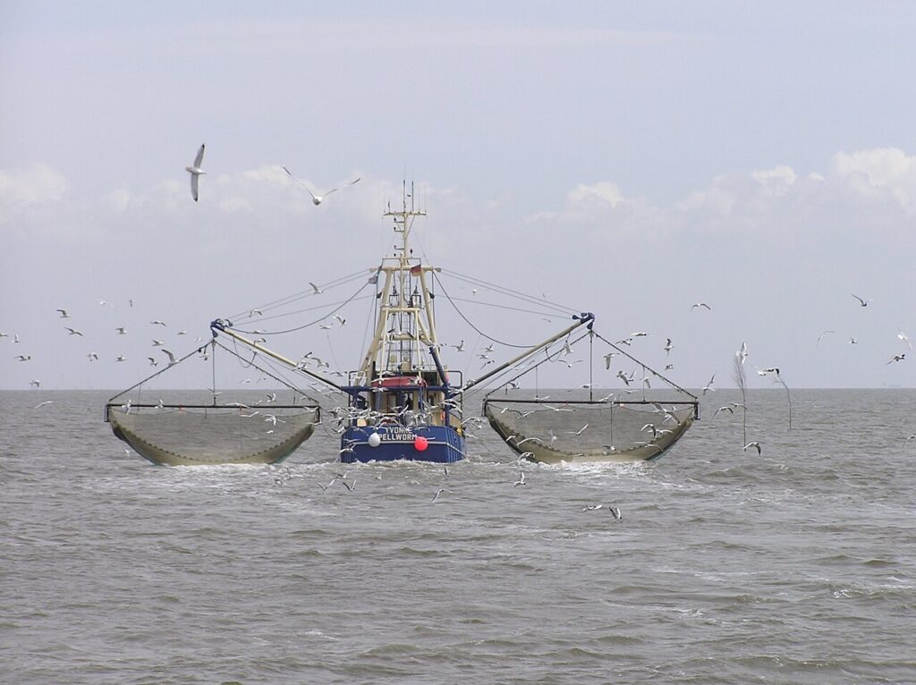 Fishing vessel at sea