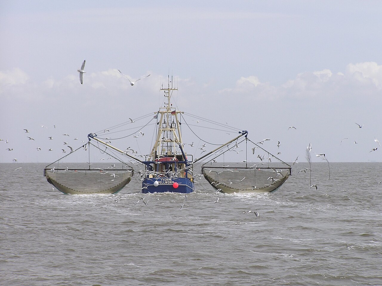 Fishing vessel at sea