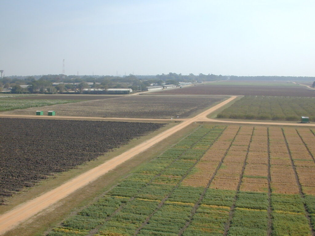 Diverse crop research fields conserved under India's biodiversity benefit-sharing framework
