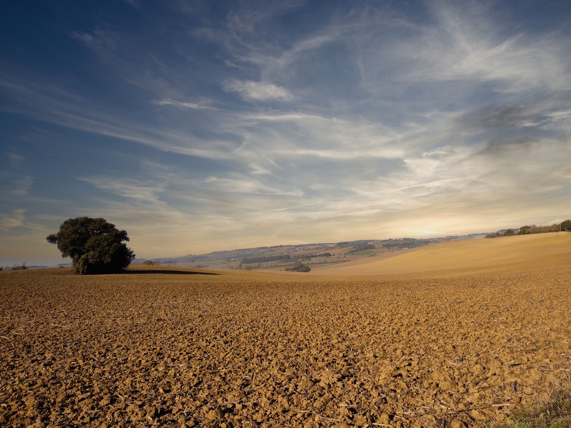 Wide view of a rural farm field under a clear sky, representing soil health and natural farming in India