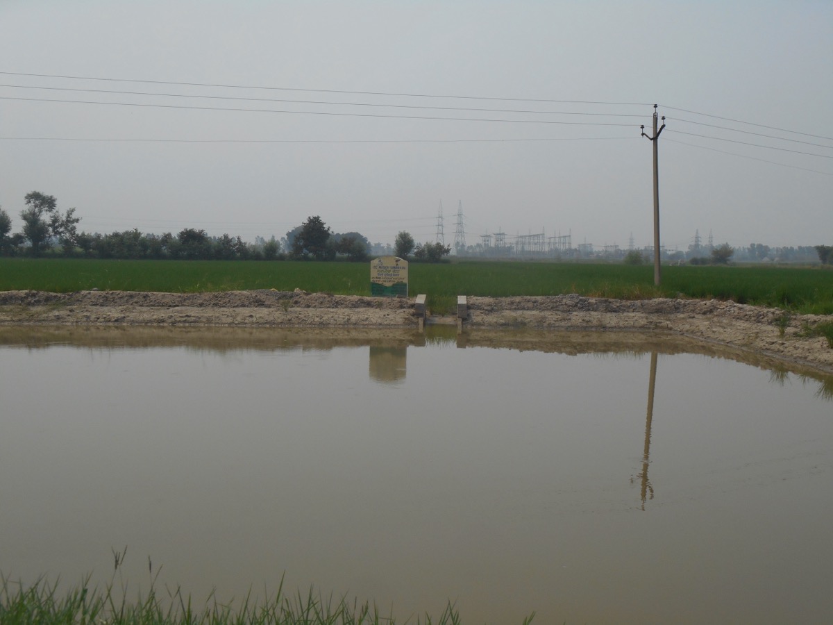 A farm pond used for water storage and groundwater recharge in rural Punjab, India