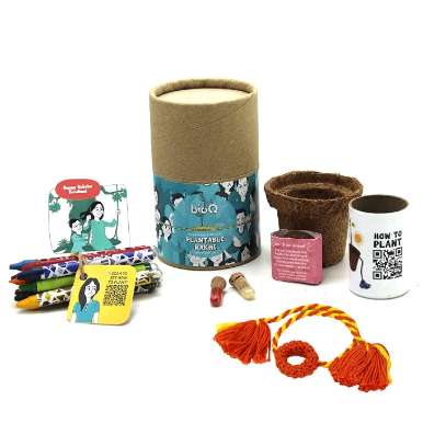 bioQ Plantable Rakhi with Sunflower Seeds on Amazon.in