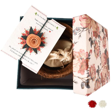 Marigold Plantable Seed Rakhi on Amazon.in