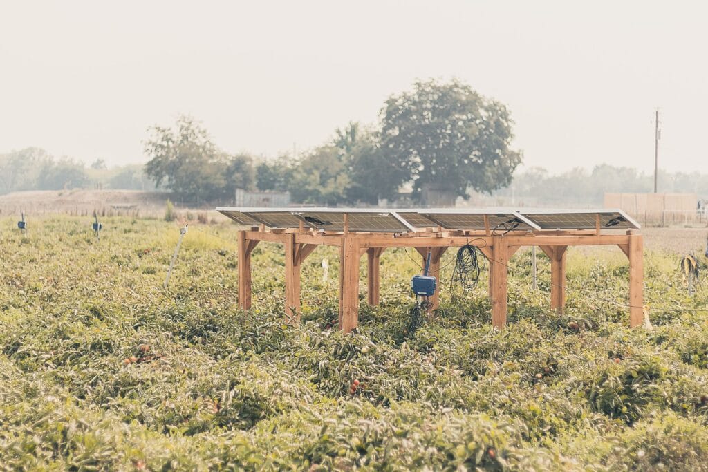 Agrivoltaics research plot with solar panels on a wooden frame above a green crop field