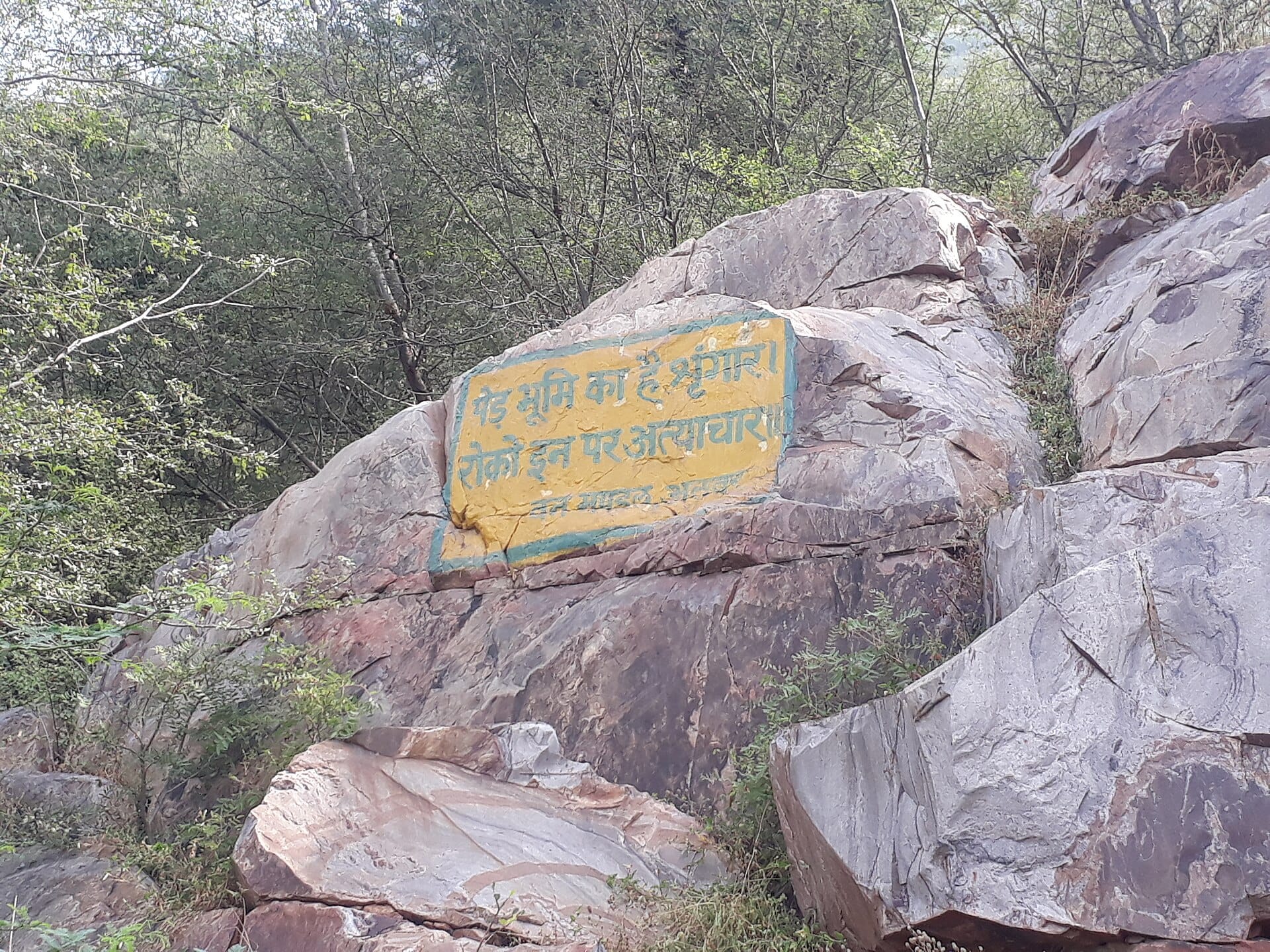Rocky Aravalli hillside with scrub forest near Alwar in Rajasthan, part of the Aravalli Green Wall region