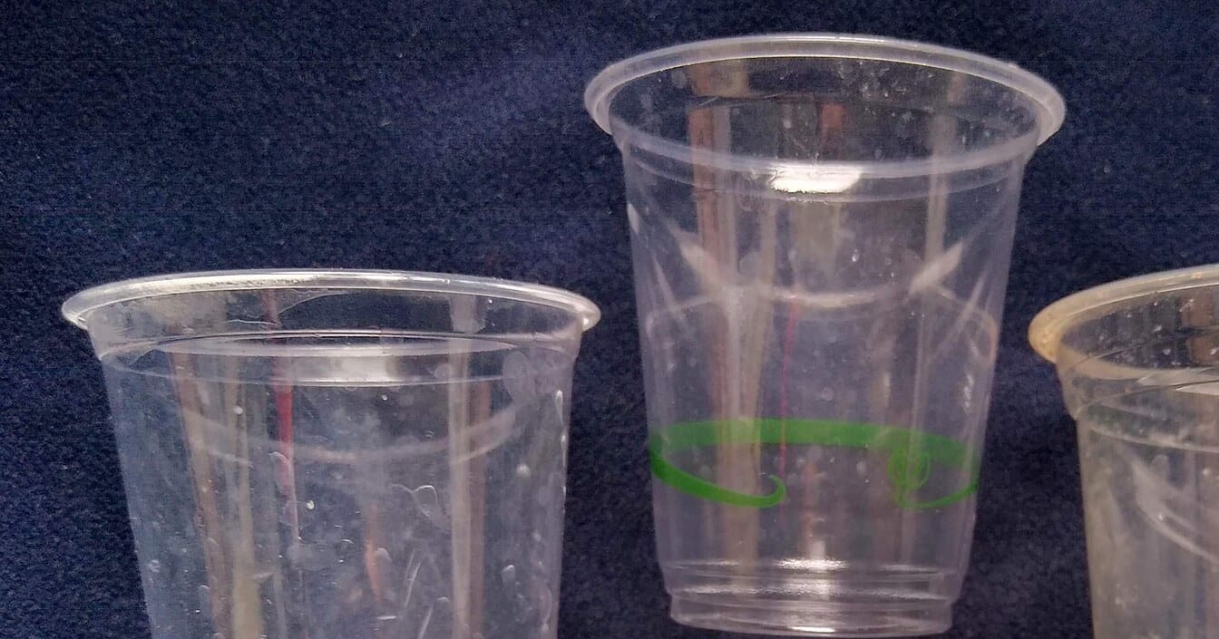 Clear PLA cups made from plant-based plastic, shown as an everyday example of the material