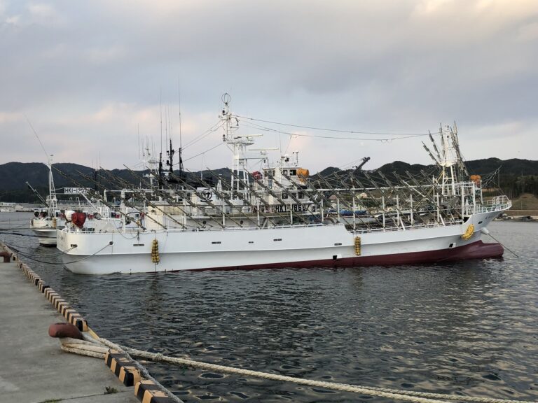 Squid-fishing boat with rows of lamps moored in a harbour
