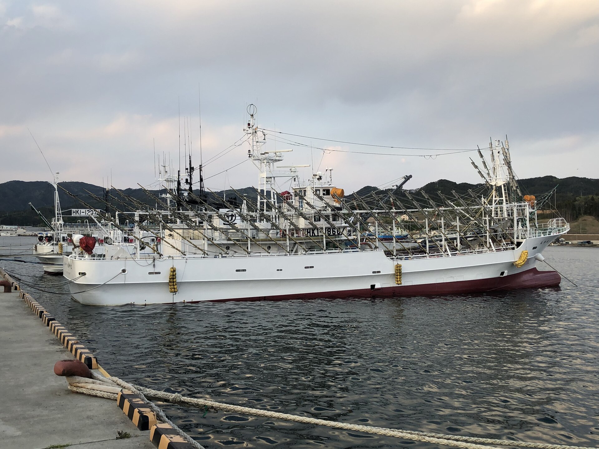 Squid-fishing boat with rows of lamps moored in a harbour