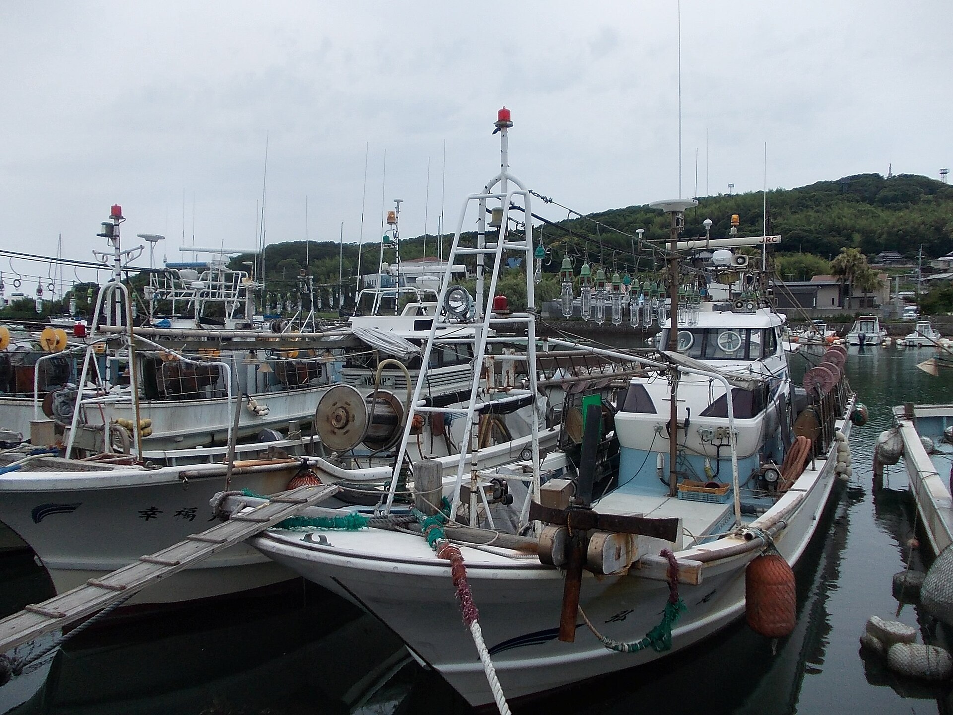 Squid-fishing vessels lined up in a fishing port