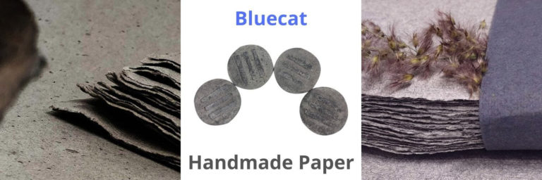 Bluecat Paper