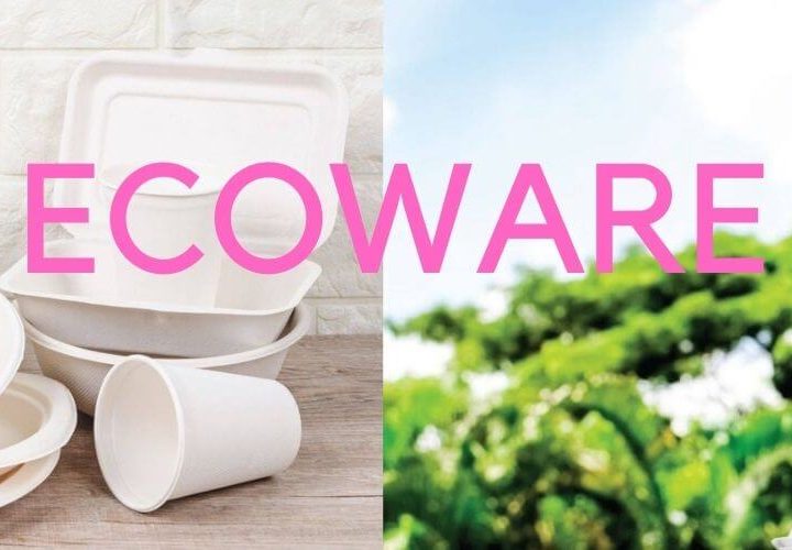 ecowaare