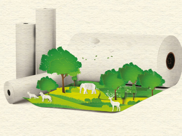 Why you should look for FSC label while buying wood products
