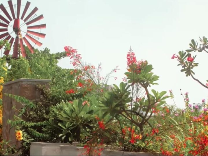 Eco-Home in Surat by Snehal Patel