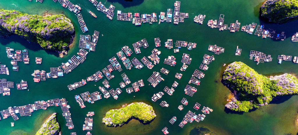 The Future Of Nature And Business Report by WEF