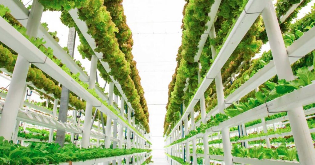 Vertical Farming in India concept application status