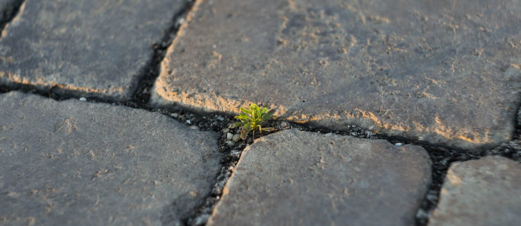 What is Sustainability Concept Definition meaning