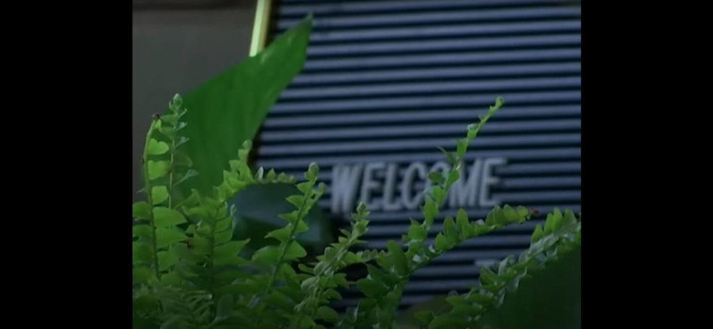 Worlds First Plant Hotel (1)