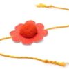 plantable-seed-paper-rakhi-for-brother
