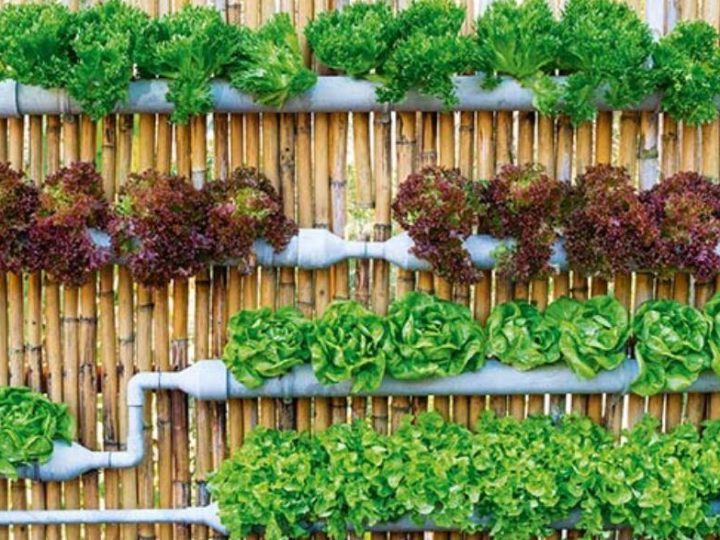 Soil less gardening
